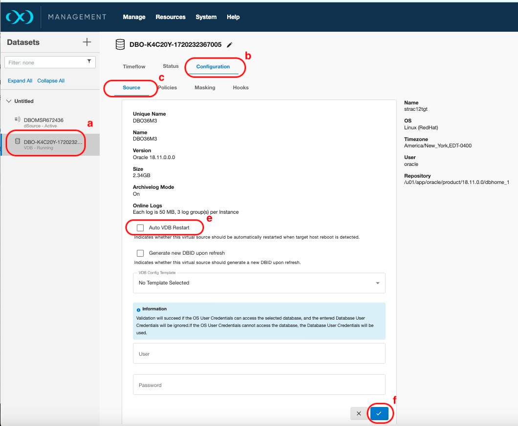 Automatic VDB restart on target server after reboot